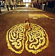 ANNA EISELE ’im Labyrinth verliert man sich nicht, im Labyrinth begegnet man sich selbstÕ